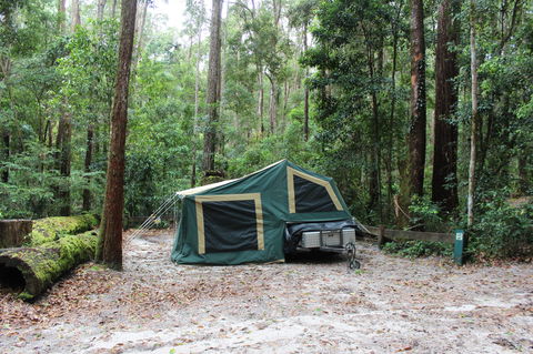 K'gari (Fraser Island) Camping, Great Sandy National Park - Hotel Gold Coast 2