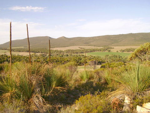 Nyroca Campsite & Group Accommodation - Hotel Gold Coast 0