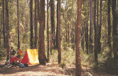 Stringers Camp At Lane Poole Reserve - Hotel Gold Coast 1