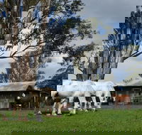 Woodenbong B and B - Hotel Gold Coast