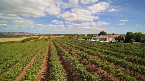 1837 Barossa Luxury Vineyard Cottages - Hotel Gold Coast 0