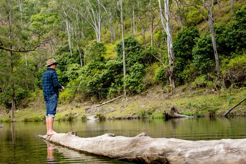 Bass Lodge - Hotel Gold Coast 0