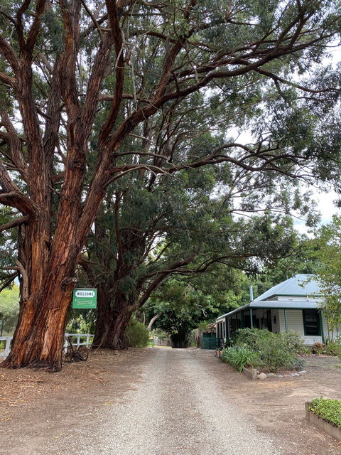 Fernleigh Accommodation - Hotel Gold Coast 0