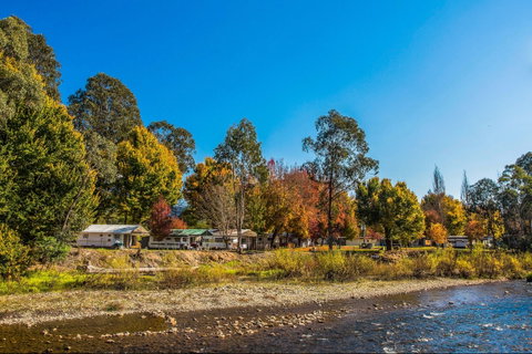 Porepunkah Bridge Holiday Park - Hotel Gold Coast 1