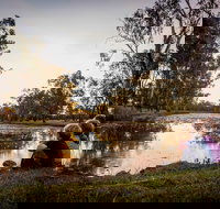 Swagsman Motor Inn - Hotel Gold Coast