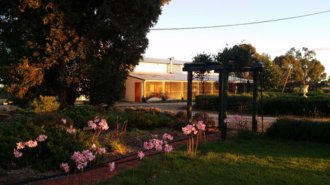 Angas Plains Wines Suites - Hotel Gold Coast 1