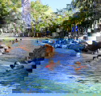 Big4 Aussie Outback Oasis Holiday Park - Hotel Gold Coast