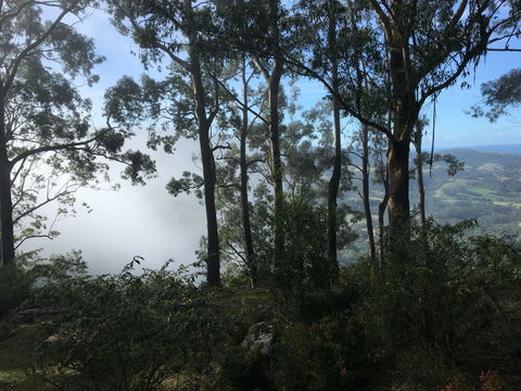 Escarpment - Hotel Gold Coast 2