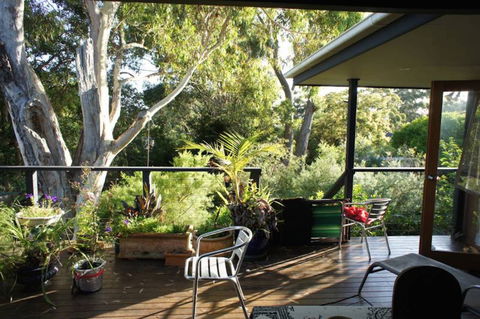 Kookaburra Dreaming - Hotel Gold Coast 2