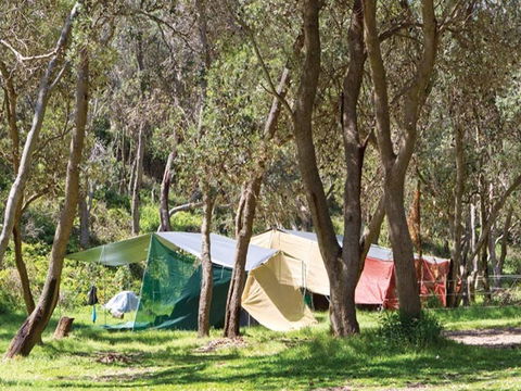 Pebbly Beach Campground - Yuraygir National Park - Hotel Gold Coast 1