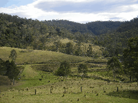Yasuragi Cabins - Hotel Gold Coast
