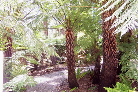 Glenview Retreat - Hotel Gold Coast 2