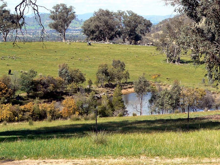 Gaddleen Grove Cottages - Hotel Gold Coast 3