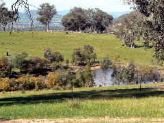 Gaddleen Grove Cottages - Hotel Gold Coast 5