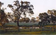 Ardwick Homestead - Hotel Gold Coast 1