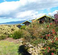 Black Cockatoo Cottages - Hotel Gold Coast
