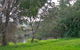 Apollo Bay Recreation Reserve Caravan And Camp Park - thumb 3