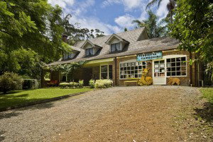 Curtis Falls Mountain Retreat - Hotel Gold Coast 0