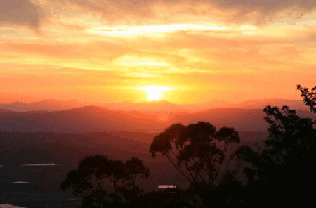Avocado Sunset - Hotel Gold Coast