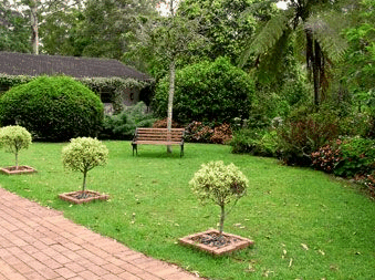 Tall Trees Motel - Hotel Gold Coast 2