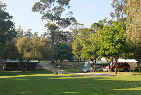 A Wangralea Caravan Park - Hotel Gold Coast 3