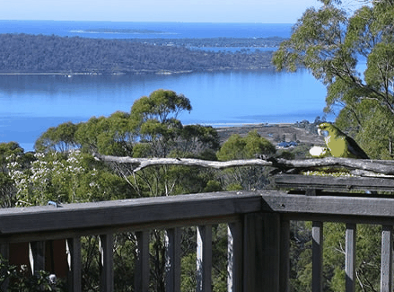 Bed in the Treetops - Hotel Gold Coast