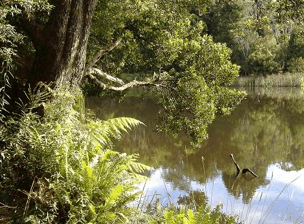 Weldborough Hotel - Hotel Gold Coast