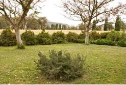 Claremont Cottage - Hotel Gold Coast 2