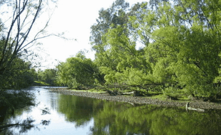 Ribbonwood Cottages - Hotel Gold Coast