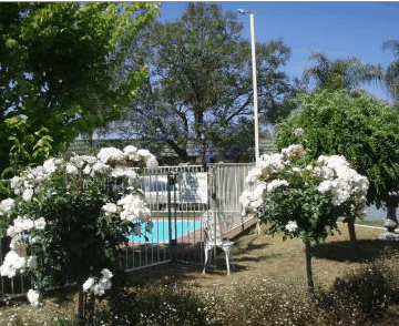 Aromet Motor Inn - Hotel Gold Coast 5