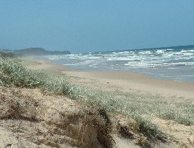 Beachcomber Peregian Beach - Hotel Gold Coast 4