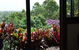 Tallowood Retreat - thumb 1