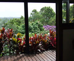 Tallowood Retreat - Hotel Gold Coast 1