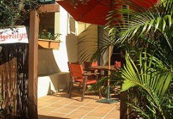 Tigerlilys - Hotel Gold Coast 2