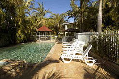 Tigerlilys - Hotel Gold Coast 4