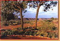 Kings Creek Station - Hotel Gold Coast 1