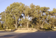 The York Residency Museum - Hotel Gold Coast 2