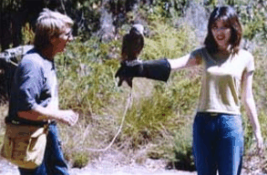 Eagles Heritage Raptor Wildlife Centre - Hotel Gold Coast 2