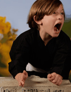 Turner Galleries - Hotel Gold Coast 3