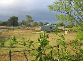 The House Of Honey - Hotel Gold Coast 2