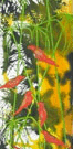 Jahroc Mill Gallery - Hotel Gold Coast 3