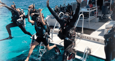 Snorkel Safari Brisbane - Hotel Gold Coast