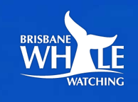 Brisbane Whale Watching - Hotel Gold Coast 3