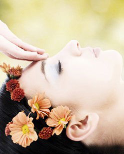 Retreat In The Suburbs - Hotel Gold Coast 2