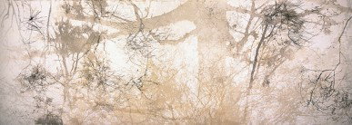 Dianne Tanzer Gallery & Projects - Hotel Gold Coast 3