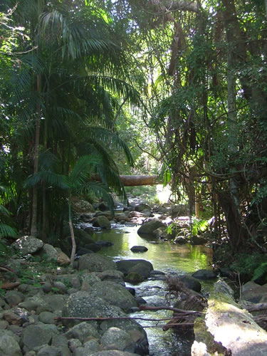 Thunderbird Park - Hotel Gold Coast 2