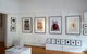 Bird's Gallery - thumb 1