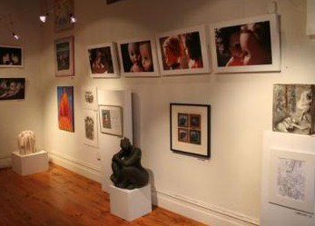Bird's Gallery - Hotel Gold Coast 2