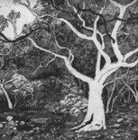 Tacit Contemporary Art - Hotel Gold Coast 0