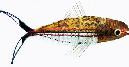 Vivien Anderson Gallery - Hotel Gold Coast 3